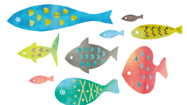 水産の販路拡大・収益アップを目指すデジタル戦略：自社ECサイト運営の可能性